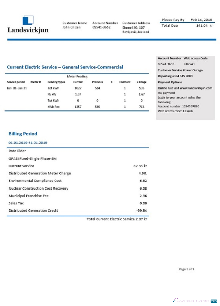 download download Iceland National Power Company of Iceland Landsvirkjun electricity utility bill